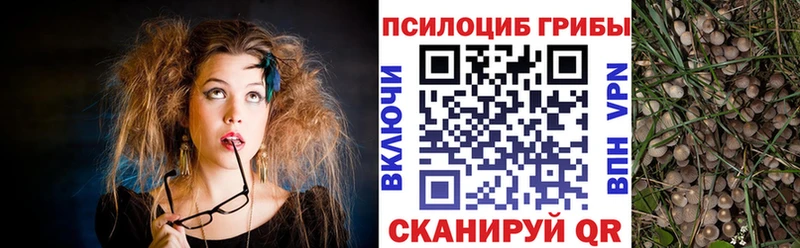 Галлюциногенные грибы мицелий  Дальнегорск 