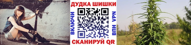 Бошки марихуана Amnesia  магазин продажи наркотиков  Дальнегорск 